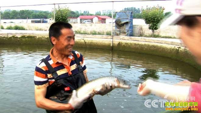 我靠怪鱼赚钱