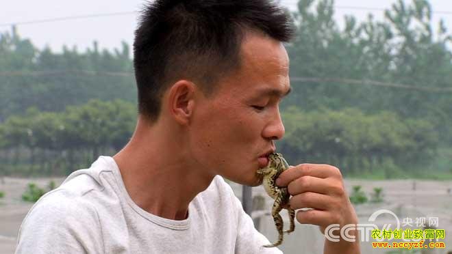 湖南益阳杜照林养青蛙致富