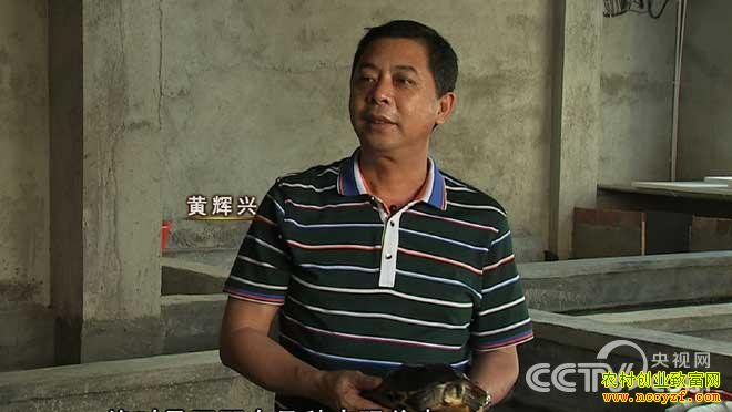 致富经:广东茂名市沙琅镇黄辉兴养殖金钱龟致富视频