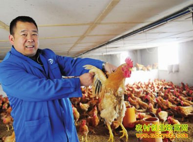 农村养殖业怎样寻找销路