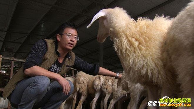 致富经:让村民都看得起我