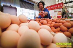<b>山西晋城鸡蛋价格创新低</b>