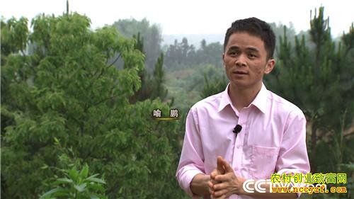 90后小伙借鸡生蛋年赚百万