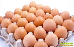 <b>鸡蛋价格行情:鸡蛋价格涨势稍缓短线下滑可能性较低</b>