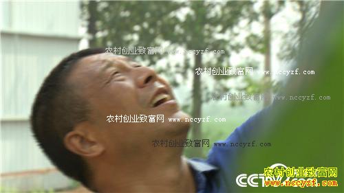 致富经: 种瓜不卖瓜年入八千万