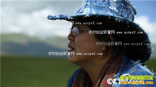 女记者嫁入青藏高原之后