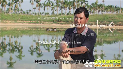 致富经:台湾商人抓住滑溜溜的财富