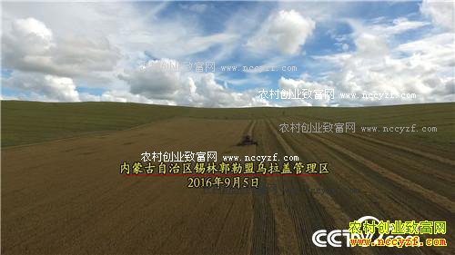 赔光6000万之后 靠一张照片翻身