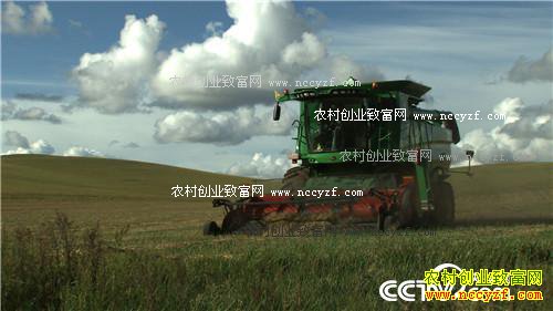 赔光6000万之后 靠一张照片翻身