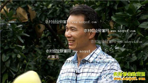 致富经:血色柚惑带来的财富 10月31日