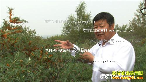 致富经:十万元到一亿元 从难摘的果子开始 11月16日