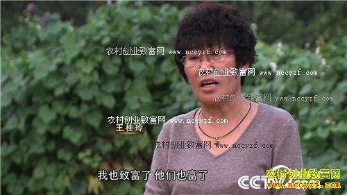 致富经:年赚5000万 创业就靠八个字 12月12日