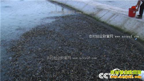 富家女遇到用钱解决不了的事之后(2016.12.13)