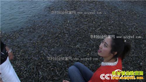 富家女遇到用钱解决不了的事之后(2016.12.13)