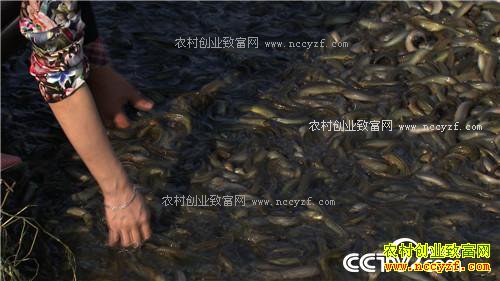 致富经:富家女遇到用钱解决不了的事之后 12月13日