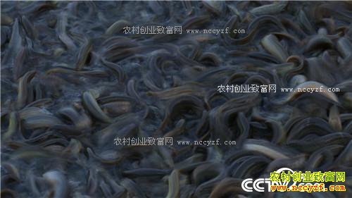 富家女遇到用钱解决不了的事之后(2016.12.13)