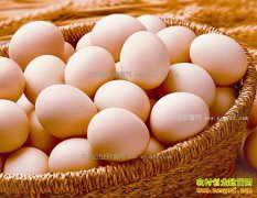 <b>山东海阳市鸡蛋价格创10余年新低 跌进“2元时代”</b>