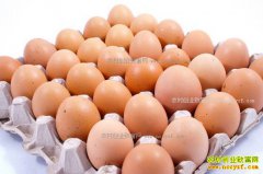 <b>山东鸡蛋价格及行情预测：济南鸡蛋价格触底本周或止跌回升</b>