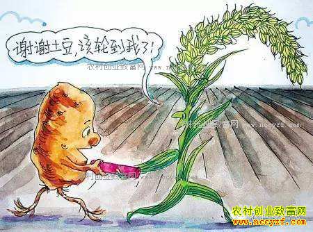 2017年轮作休耕补助标准多少,轮作休耕补助到哪领,怎么领?