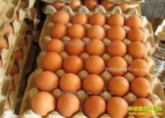 <b>山东聊城鸡蛋价格走低 专家预测未来鸡蛋价格走势</b>