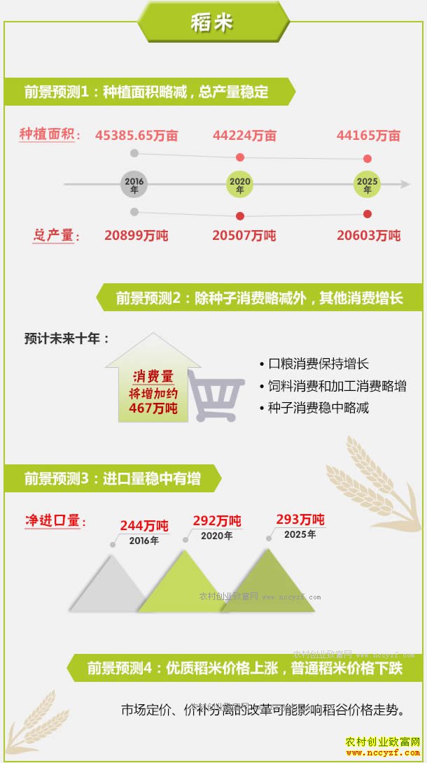 农业部：未来十年水稻种植前景和稻米市场价格行情预测