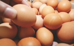 <b>今日蛋价：2023.6.7鸡蛋价格行情报价表</b>