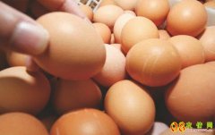 <b>今日蛋价：2023.6.8鸡蛋价格行情报价表</b>