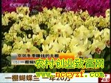 һ һ20
