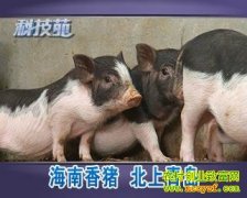 <b>[�Ƽ�Է������]�������� �����ൺ</b>