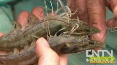 <b>[�¸���]��ѧ������������׬Ǯ����</b>