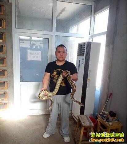 方霄霄和他心爱的蟒蛇.jpg 方霄霄和他心爱的蟒蛇.jpg
