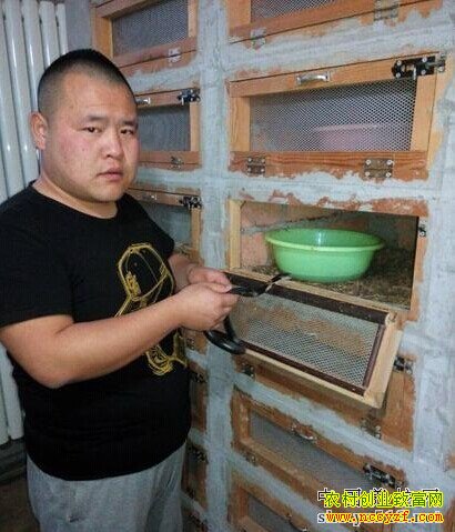 给蛇喂水 给蛇喂水
