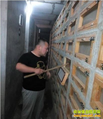 方霄霄给蛇笼打扫卫生.jpg 方霄霄给蛇笼打扫卫生.jpg