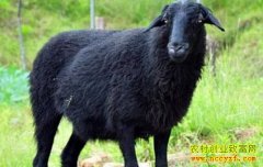 <b>[ÿ��ũ��]��ֳ��ϡΪ����ڹ��򾭼�Ч���</b>