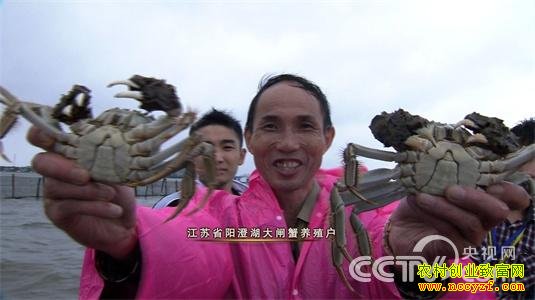 赢在未来——农产品电商崛起 吃不到的蛋糕 4月6日21:17