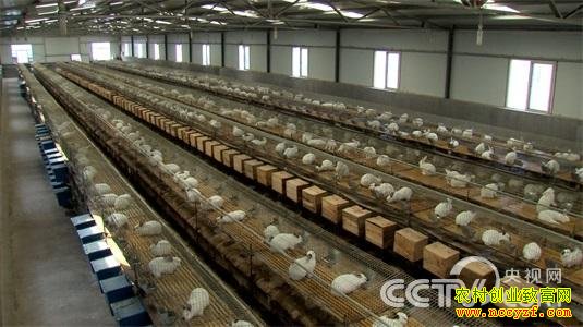 几百万存款密码被篡改以后
