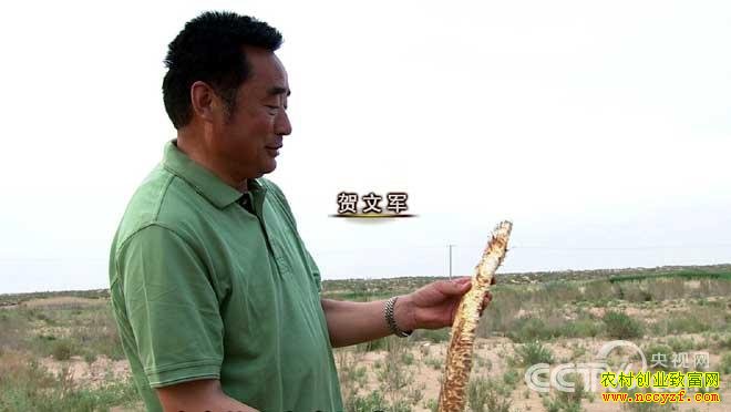 在沙漠里找“最”的人