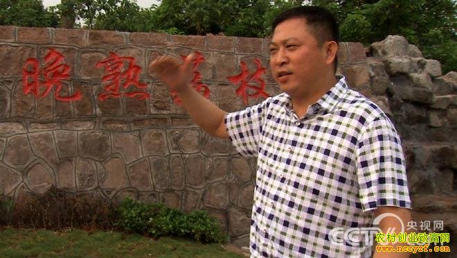 致富经:发现16棵千年古荔枝树之后 8月21日