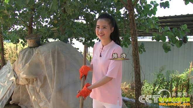 爱美女孩心急的财富