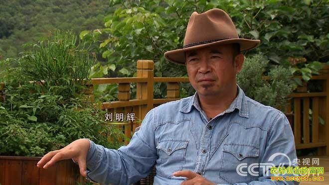 牛仔刘明辉养殖婆罗门牛致富经视频