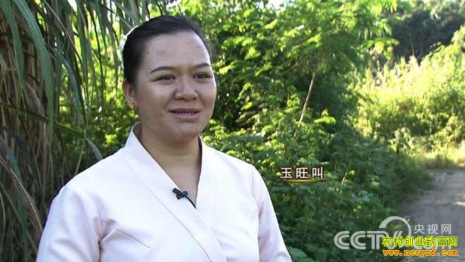 云南西双版纳玉旺叫养殖小耳猪致富经视频