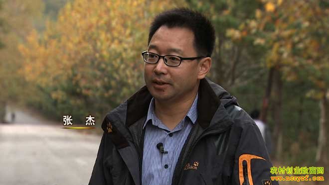 致富经:颠覆传统赚不一样的钱 12月8日