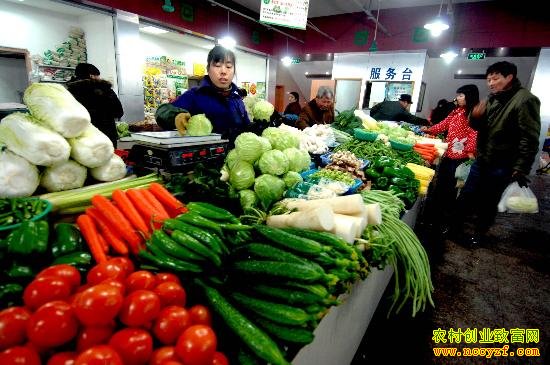 山东济南孟庆伟开设家蔬菜体验店日销售额1万元
