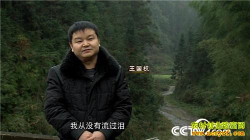 他靠凶猛的娃娃鱼赚钱