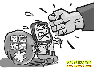 [聚焦三农]重金求子的陷阱