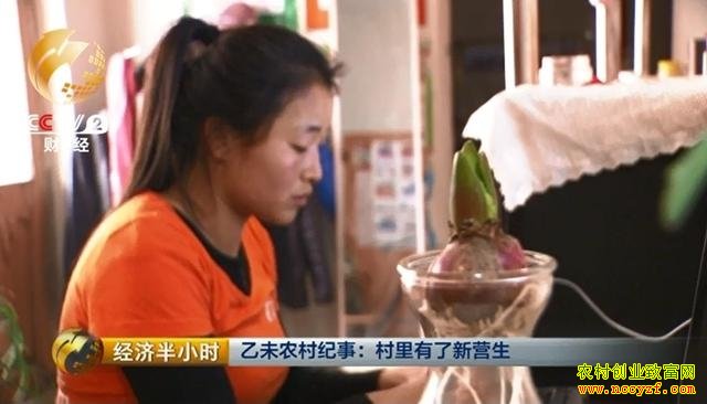 大学生做农村电商"代购员" 三个月竟赚80万