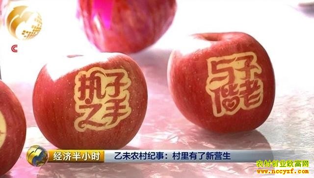 大学生做农村电商"代购员" 三个月竟赚80万