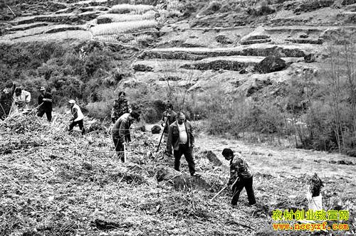 重庆石柱谭地普和马兹文荒山荒坡种花椒致富