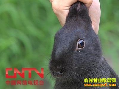 [ÿũ]ʲô׬Ǯ׬Ǯĺ