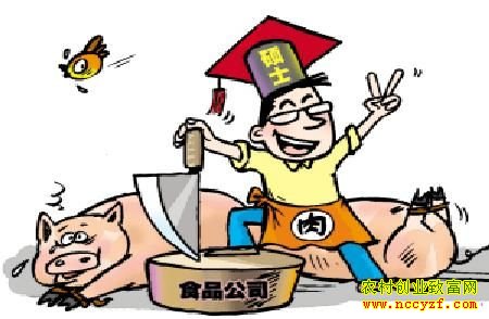 大学生孙龙退学开网店 帮村民网上卖猪肉